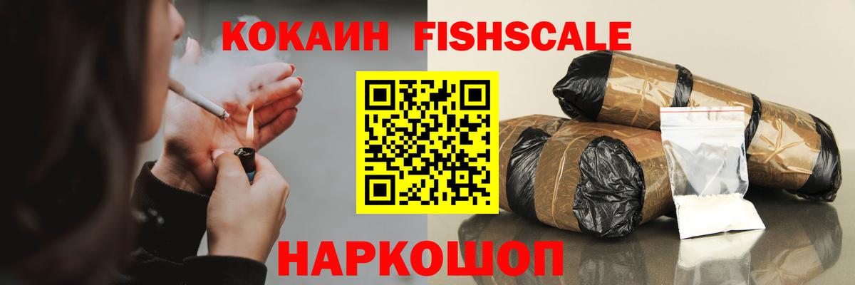 Cocaine FishScale  Вход с VPN  Cocaine  Белая Калитва 